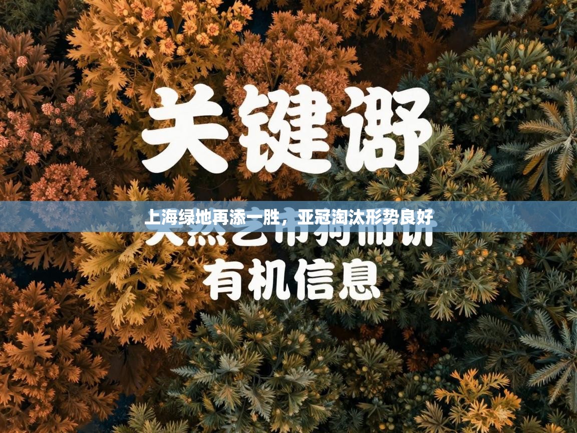 上海绿地再添一胜，亚冠淘汰形势良好  第2张