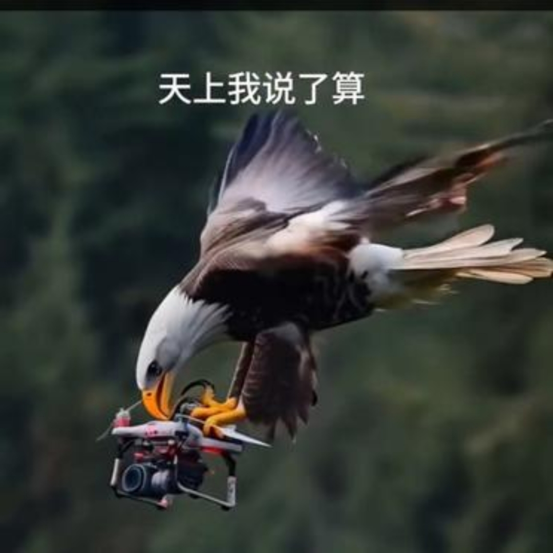 老鹰不敌骑士，遭遇两连败